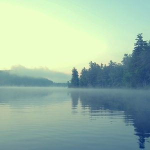 亚洲高清专区日韩精品95
